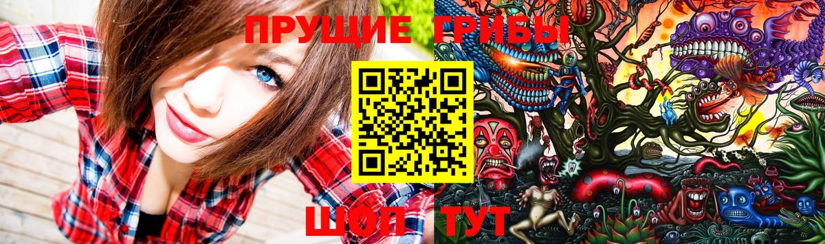 продажа наркотиков  Псилоцибиновые грибы ЛСД  Вход с VPN  Пенза  Галлюциногенные грибы мухоморы 